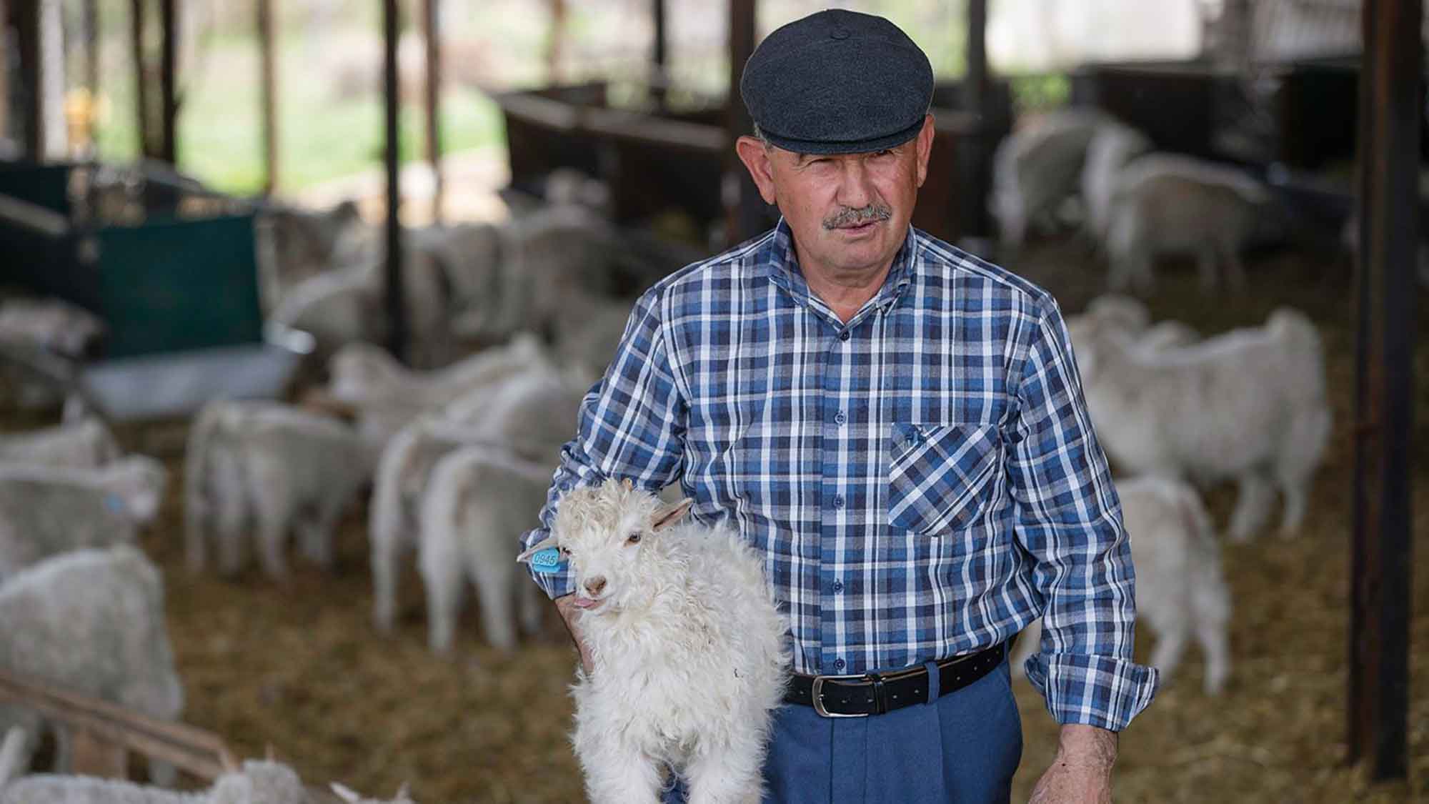 John Brown Seda Ozbahar