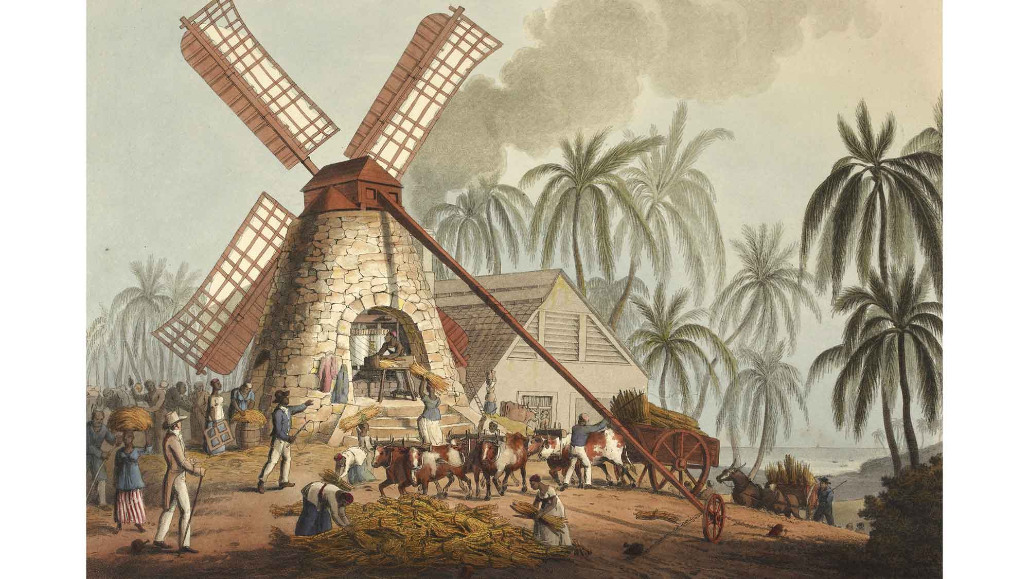 Sugar malaf The Mill Yard